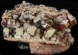 Large Vanadinite Crystals on Matrix - Morocco #42203-1